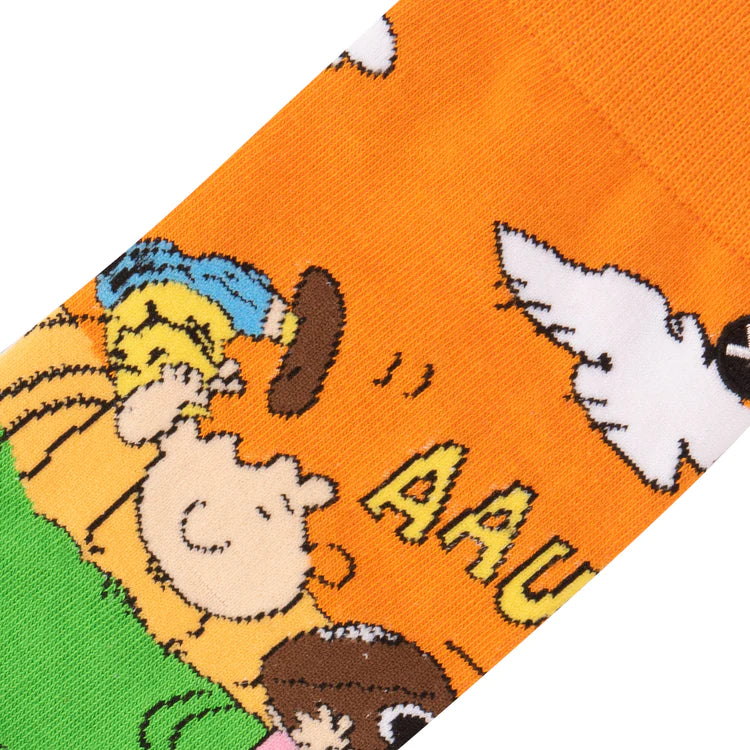 Calzini CHARLIE BROWN FOOTBALL "Peanuts"- Odd Sox