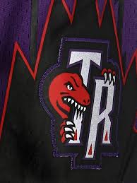 Pantaloncino Swingman Shorts Toronto Raptors Mitchell and Ness