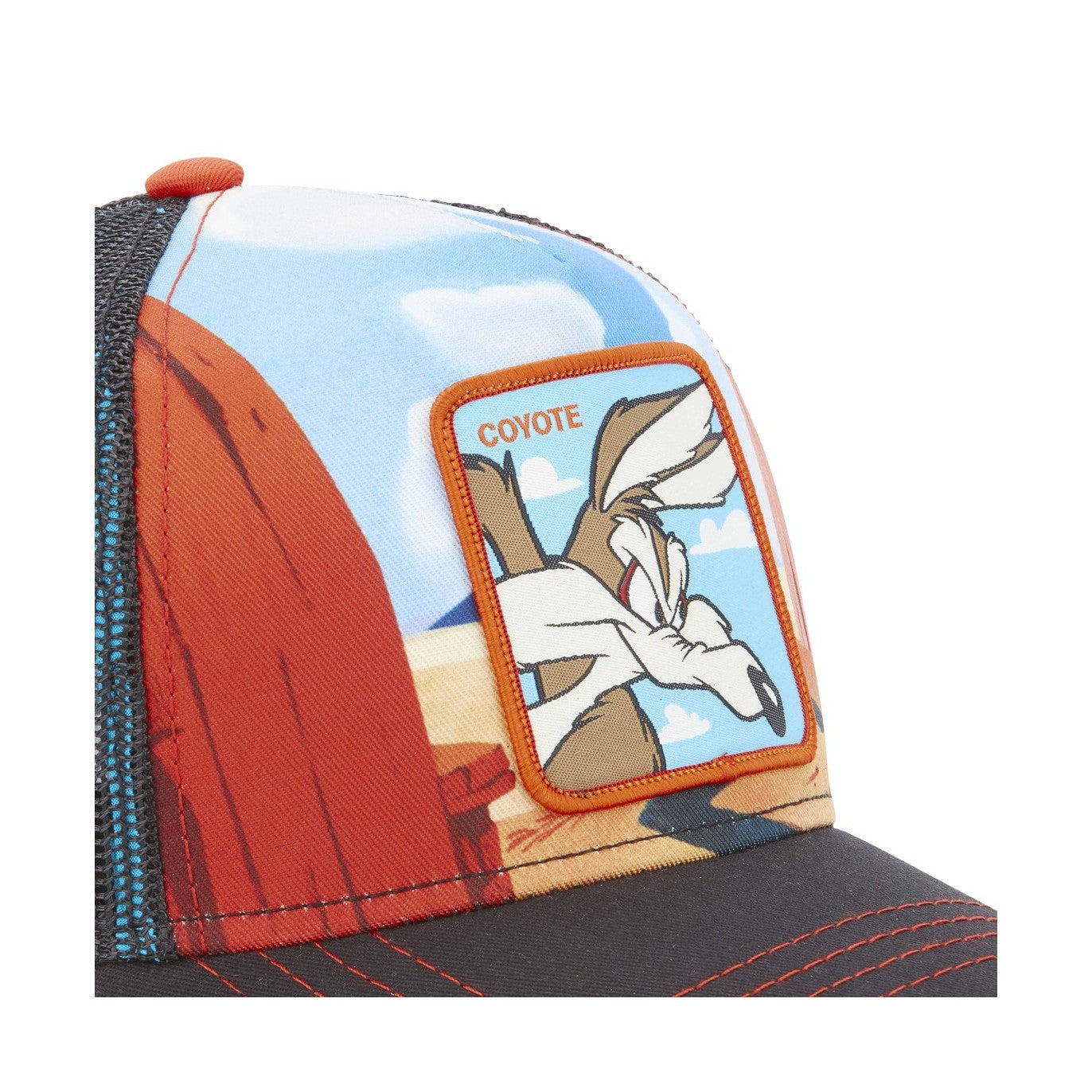 Cappellino Wile Coyote - Looney Tunes - Capslab
